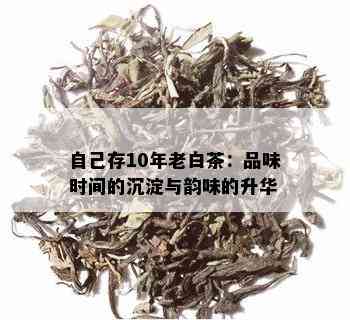 自己存10年老白茶：品味时间的沉淀与韵味的升华