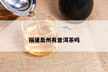 福建泉州有普洱茶吗