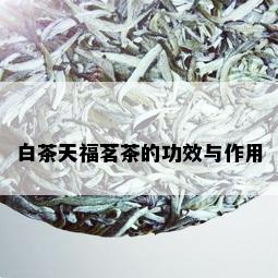 白茶天福茗茶的功效与作用