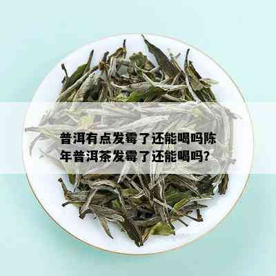 普洱有点发霉了还能喝吗陈年普洱茶发霉了还能喝吗？