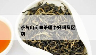 茶与山间白茶哪个好喝及区别