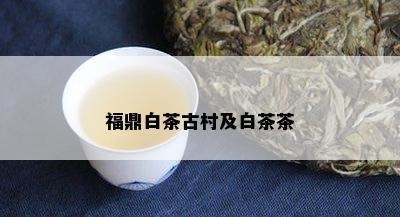 福鼎白茶古村及白茶茶