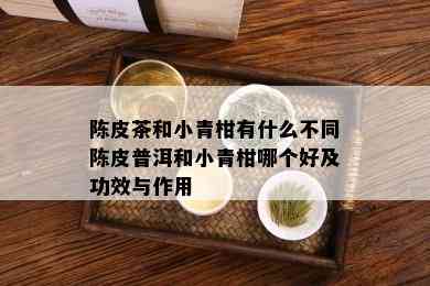 陈皮茶和小青柑有什么不同陈皮普洱和小青柑哪个好及功效与作用