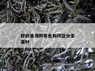 好的普洱熟茶色如何区分生茶叶