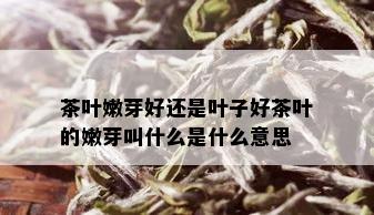 茶叶嫩芽好还是叶子好茶叶的嫩芽叫什么是什么意思