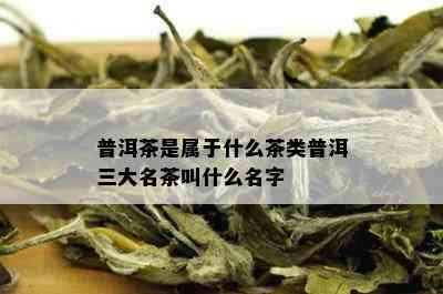 普洱茶是属于什么茶类普洱三大名茶叫什么名字