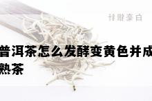 普洱茶怎么发酵变黄色并成熟茶