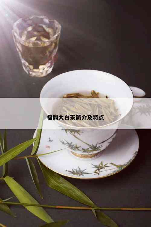 福鼎大白茶简介及特点