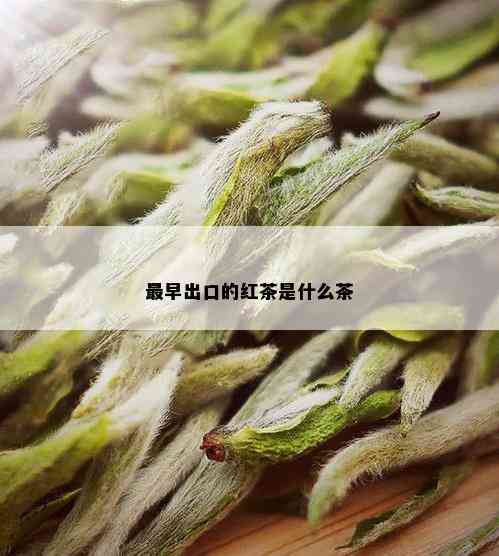 最早出口的红茶是什么茶