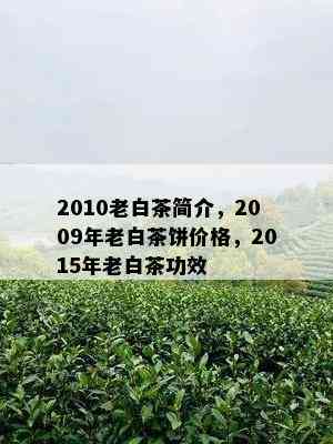 2010老白茶简介，2009年老白茶饼价格，2015年老白茶功效