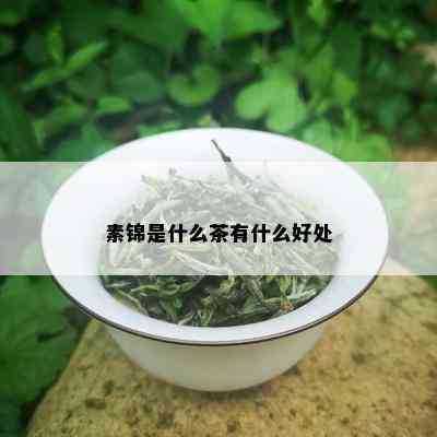 素锦是什么茶有什么好处