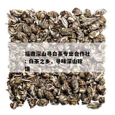 福鼎深山寻白茶专业合作社: 白茶之乡，寻味深山珍馐