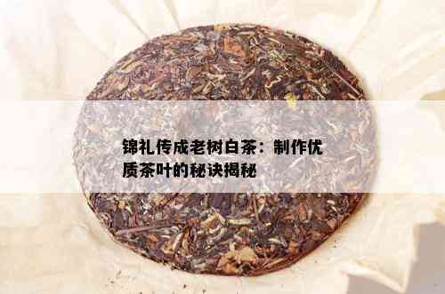 锦礼传成老树白茶：制作优质茶叶的秘诀揭秘