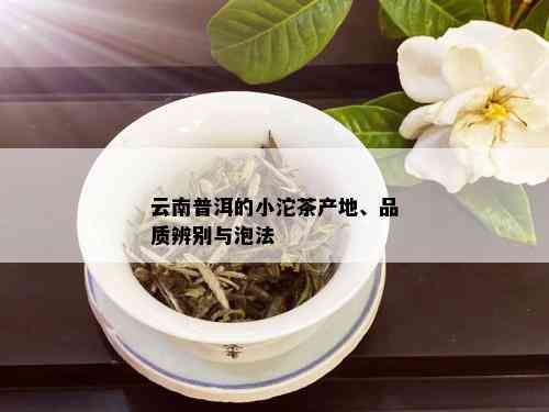 云南普洱的小沱茶产地、品质辨别与泡法