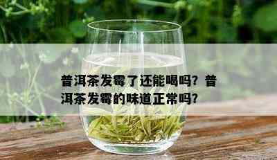 普洱茶发霉了还能喝吗？普洱茶发霉的味道正常吗？