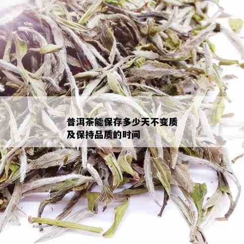 普洱茶能保存多少天不变质及保持品质的时间