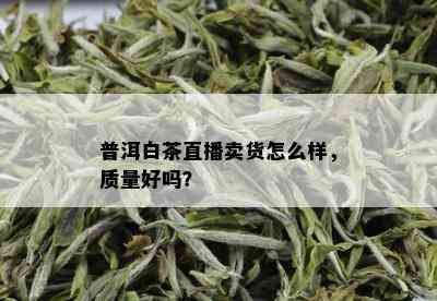 普洱白茶直播卖货怎么样，质量好吗？