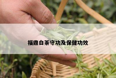 福鼎白茶守功及保健功效