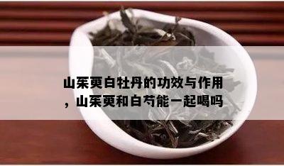 山茱萸白牡丹的功效与作用，山茱萸和白芍能一起喝吗