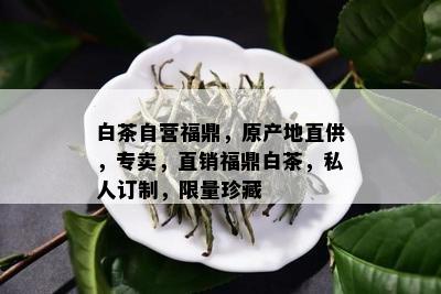 白茶自营福鼎，原产地直供，专卖，直销福鼎白茶，私人订制， *** 珍藏