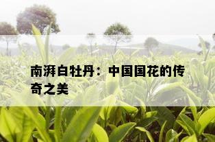 南湃白牡丹：中国国花的传奇之美