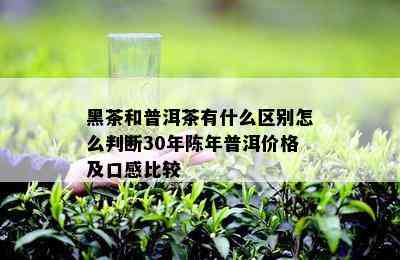 黑茶和普洱茶有什么区别怎么判断30年陈年普洱价格及口感比较