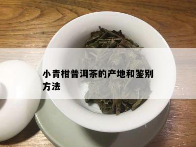 小青柑普洱茶的产地和鉴别方法