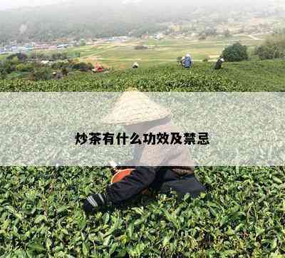 炒茶有什么功效及禁忌