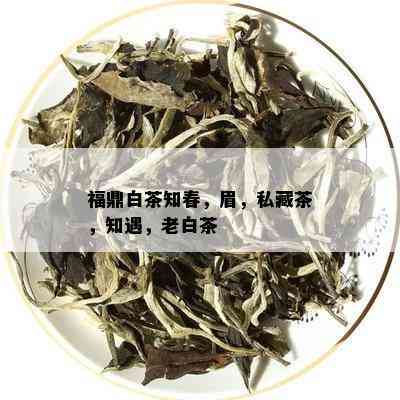 福鼎白茶知春，眉，私藏茶，知遇，老白茶