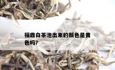 福鼎白茶泡出来的颜色是黄色吗？