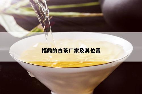 福鼎的白茶厂家及其位置