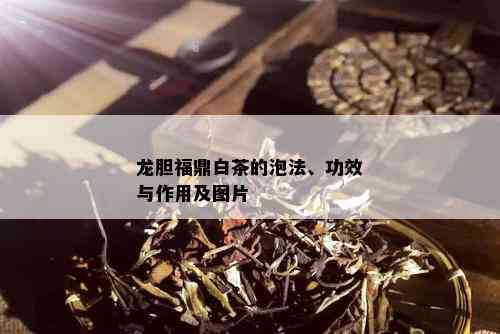 龙胆福鼎白茶的泡法、功效与作用及图片