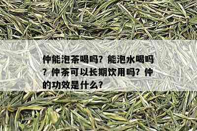 仲能泡茶喝吗？能泡水喝吗？仲茶可以长期饮用吗？仲的功效是什么？