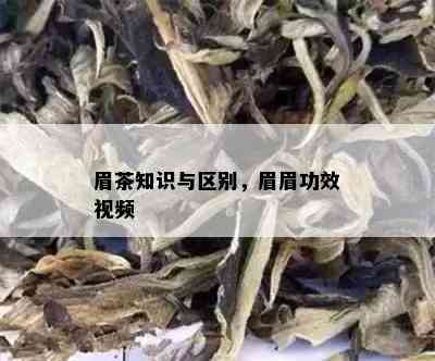 眉茶知识与区别，眉眉功效视频