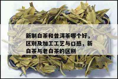 新制白茶和普洱茶哪个好，区别及加工工艺与口感，新白茶与老白茶的区别