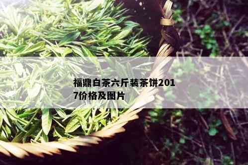 福鼎白茶六斤装茶饼2017价格及图片