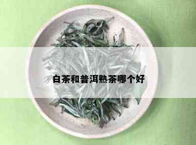 白茶和普洱熟茶哪个好