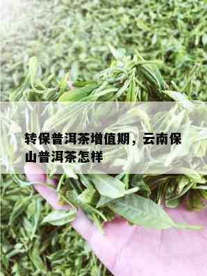 转保普洱茶增值期，云南保山普洱茶怎样