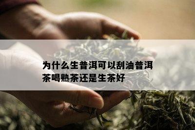 为什么生普洱可以刮油普洱茶喝熟茶还是生茶好