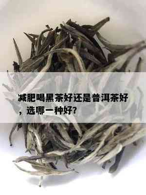 减肥喝黑茶好还是普洱茶好，选哪一种好？