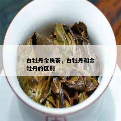 白牡丹金珠茶，白牡丹和金牡丹的区别