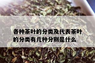 各种茶叶的分类及代表茶叶的分类有几种分别是什么