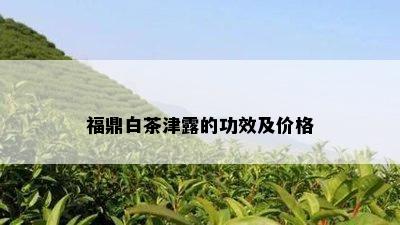 福鼎白茶津露的功效及价格