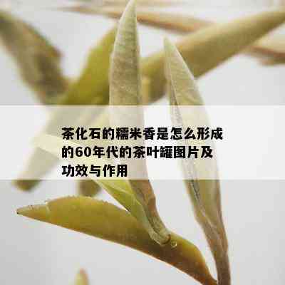 茶化石的糯米香是怎么形成的60年代的茶叶罐图片及功效与作用