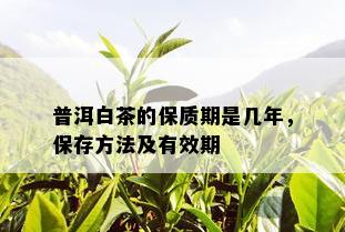 普洱白茶的保质期是几年，保存方法及有效期