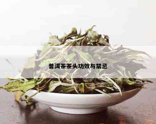 普洱茶茶头功效与禁忌