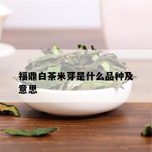 福鼎白茶米芽是什么品种及意思