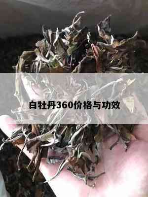 白牡丹360价格与功效