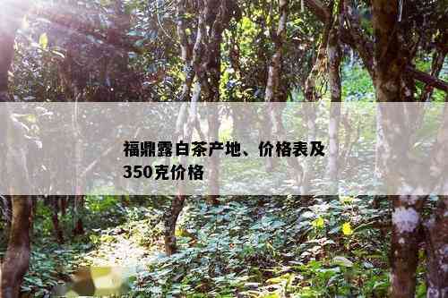 福鼎露白茶产地、价格表及350克价格