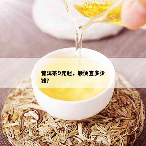 普洱茶9元起，更便宜多少钱？